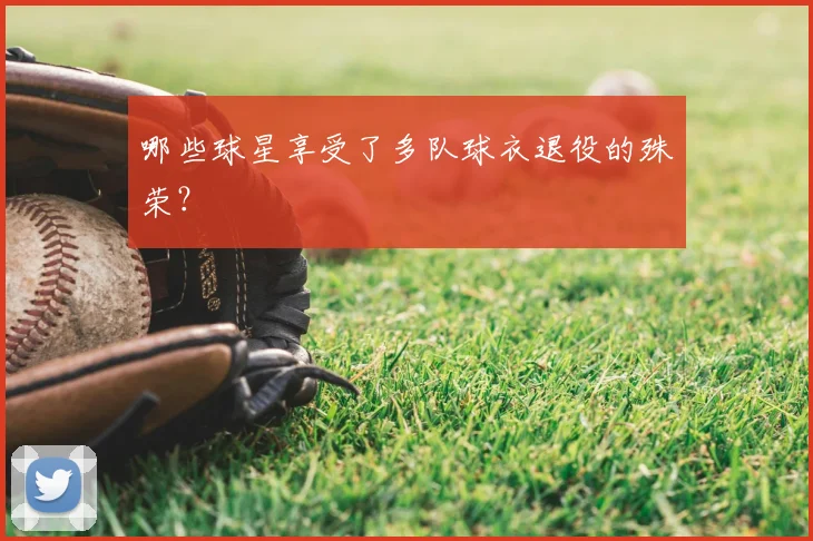 哪些球星享受了多队球衣退役的殊荣？