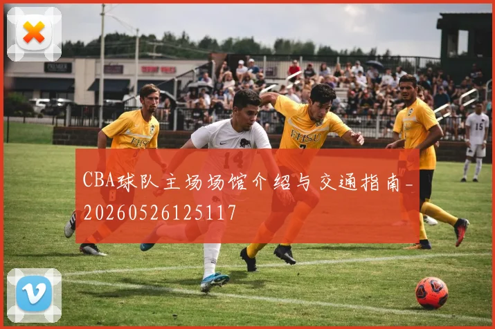 CBA球队主场场馆介绍与交通指南_20260526125117