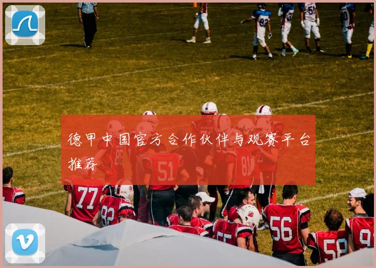 德甲中国官方合作伙伴与观赛平台推荐
