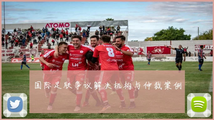 国际足联争议解决机构与仲裁案例