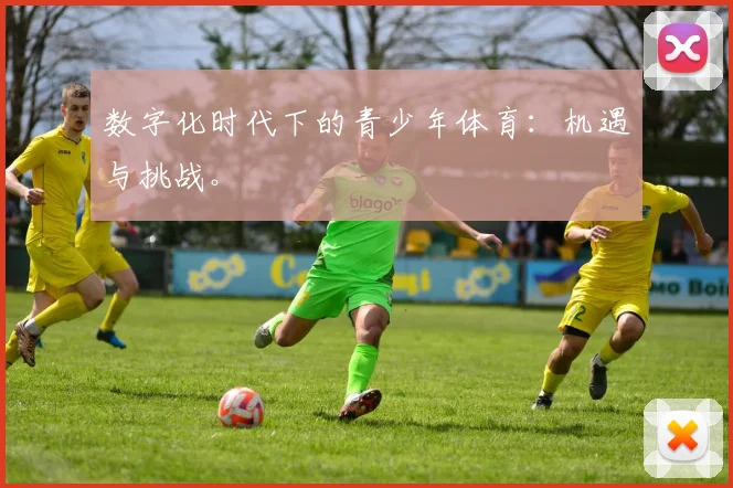 数字化时代下的青少年体育：机遇与挑战。